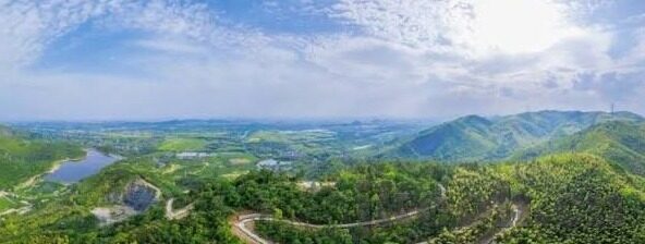大象传媒国产第一页-探索大象传媒国产第一页的独特魅力与文化价值