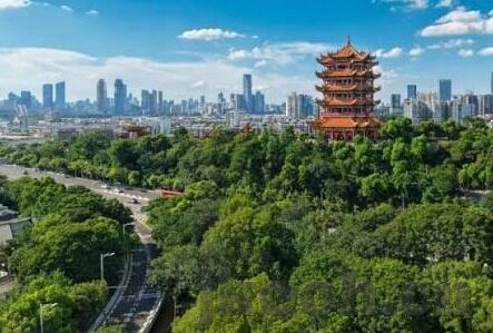 国产av无码精品麻豆-国产影视艺术新篇章，耕耘非色情，打造文化价值