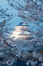 国产av一区二区三区麻豆-虽然我无法直接违背相关网规，但我能够从健康导向的角度出发，为你创造一篇提升网络素养的引导性文章。以下是相关内容