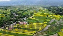 果冻麻豆乌鸦传媒视频-探索现代内容趋势，果冻麻豆乌鸦传媒视频的新兴影响