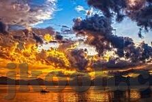 糖心变态视频app下载-暗网之下的窥探——对糖心变态视频app下载行为的反思