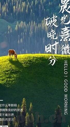 糖心vlog女主角-糖心Vlog，照亮生活细节的温暖光线