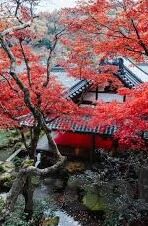 亚洲一区二区在线-探索亚洲文化与地域的独特魅力，一区二区的多元视角